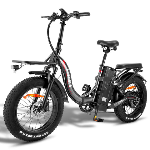 Bicicleta Elétrica FAFREES F20 X-MAX - Motor 750W Bateria 48V30AH Alcance 180KM Freio a Disco Hidráulico - Cinza